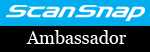 ss-ambassador_logo-150
