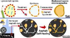 Asphalt Self-Healing