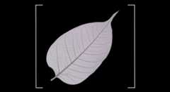 Todas las tendencias