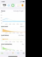 main loop screen when running nominally with annotation for heads-up-display, charts and toolbar