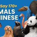 Chinese Animal Names: 172 Translations 😼 (Zodiac, Sea, Land, Birds & More) Thumbnail