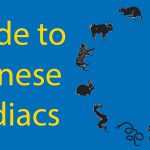 The Great Race 🐯 Ultimate Guide to Chinese Zodiacs Thumbnail