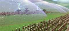 The Gungans and battle droids prepare to fight in The Phantom Menace.