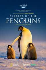 Image of a penguin with two young penguins on a snowy plain | our Home | The Emmy Award-winning franchise returns | From Executive Producer James Cameron | Secrets of the Penguins | Narrated by Blake Lively | National Geographic | Disney+ | hulu | movie poster 