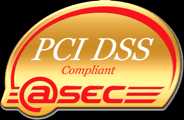 PCI DSS