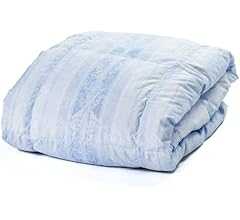 昭和西川 羽毛布団 軽量 薄手 掛け布団 肌掛けふとん ダウンケット 春用 夏用 オールシーズン 肌掛け 日本製 ヨーロッパ羽毛発祥の地 ドイツダックダウン90% 0.3kg 370ダウンパワー シングル シングルロング 150×210cm ブル…