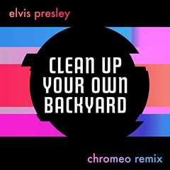 CLEAN UP YOUR OWN BACK YARD cover art
