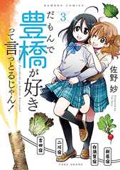 だもんで豊橋が好きって言っとるじゃん！ (3) (バンブーコミックス)