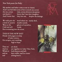 SKY FULL OF SONG cover art