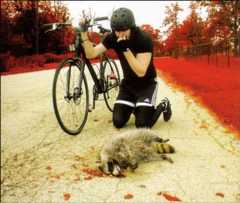 THE DENIAL TWIST cover art