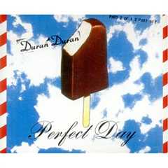 PERFECT DAY cover art