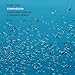 Vijay Iyer - 