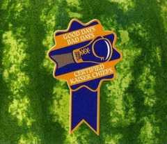 GOOD DAYS BAD DAYS cover art