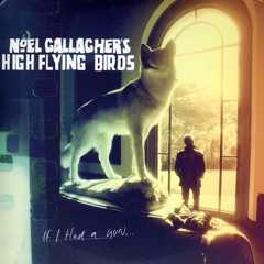 IF I HAD A GUN cover art