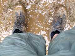 Quick and Dirty Data Analysis