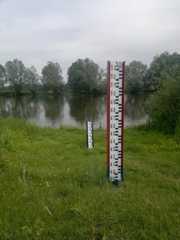 Baseline Machine Learning Results