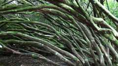 How to Evaluate Gradient Boosting Models with XGBoost in Python