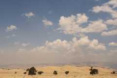 What is Time Series Forecasting?