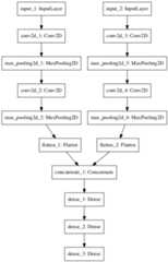 Neural Network Graph With Multiple Inputs