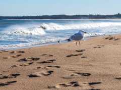 What Is Semi-Supervised Learning