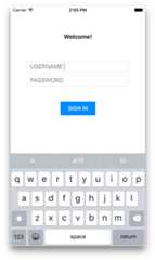 A typical login screen