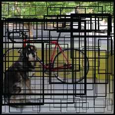 The bounding boxes predicted by the grid cells