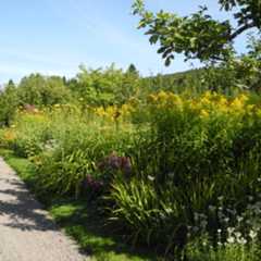 Plantering