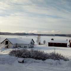 Ladan o stallet vinter