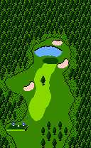 In-game map of a hole in Golf: Japan Course