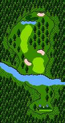 In-game map of a hole in Golf: Professional Course