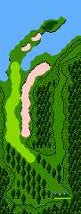 In-game map of a hole in Golf: Professional Course