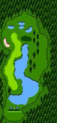 In-game map of a hole in Golf: Japan Course