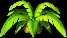 Diddy Kong Racing (top of palm tree)