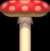 Mushroom Platform