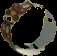 A Small Goomba Wheel from Paper Mario: Color Splash.