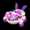Purple Bunny