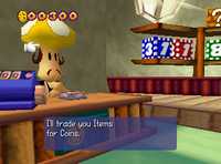 The inside of the Mushroom Shop