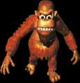 Donkey Kong Country