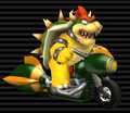 Bowser's Phantom