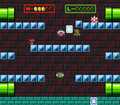 Card on the loose (battle mode, Super Mario All-Stars)