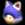 Cat Toad