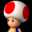 Toad