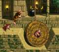 Donkey Kong Country