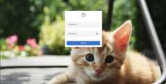 Custom login page