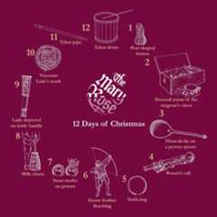 Twelve days of the Mary Rose