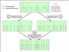 Merging reference panels