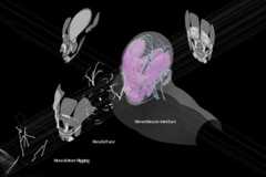 A schematic of the Remesys prototype plan, reading 'Kinematics'.