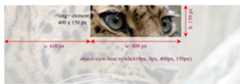 The leopard image cropped using object-view-box property, with a 400px by 150px viewbox displaying an unscaled section of the image