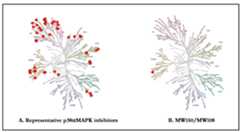 Ijms 21 05624 g002 Ijms 21 05624 g002