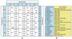 Life 12 00834 sch005